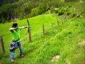 prossegg_2012_5_20120826_2068704374