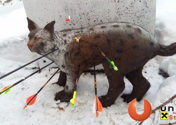 11. Saalfeldener Winterturnier