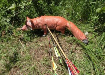 Tiroler Meisterschaft IFAA in Absam