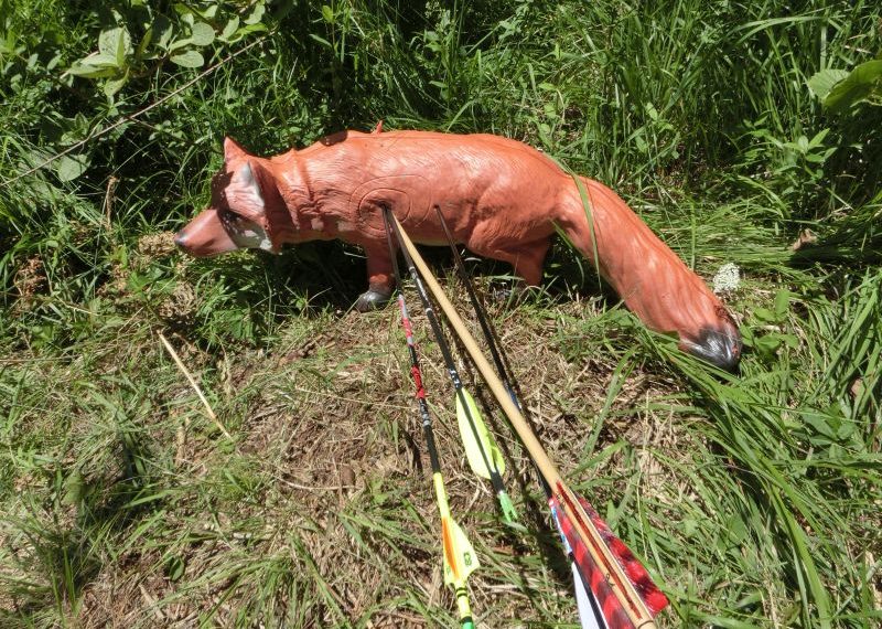 Tiroler Meisterschaft IFAA in Absam